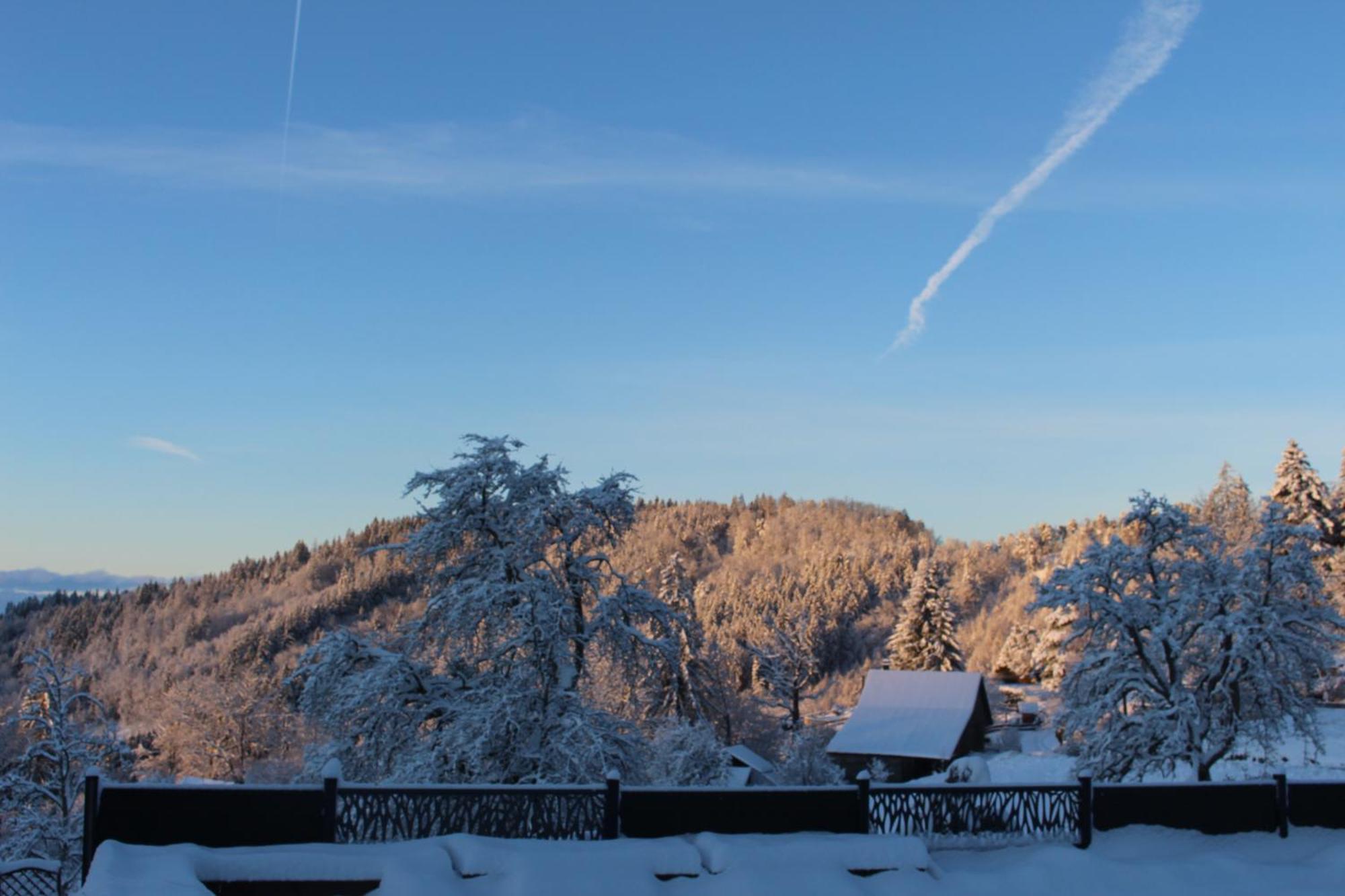 Les Chalets De Ludran Viuz-en-Sallaz Exterior foto
