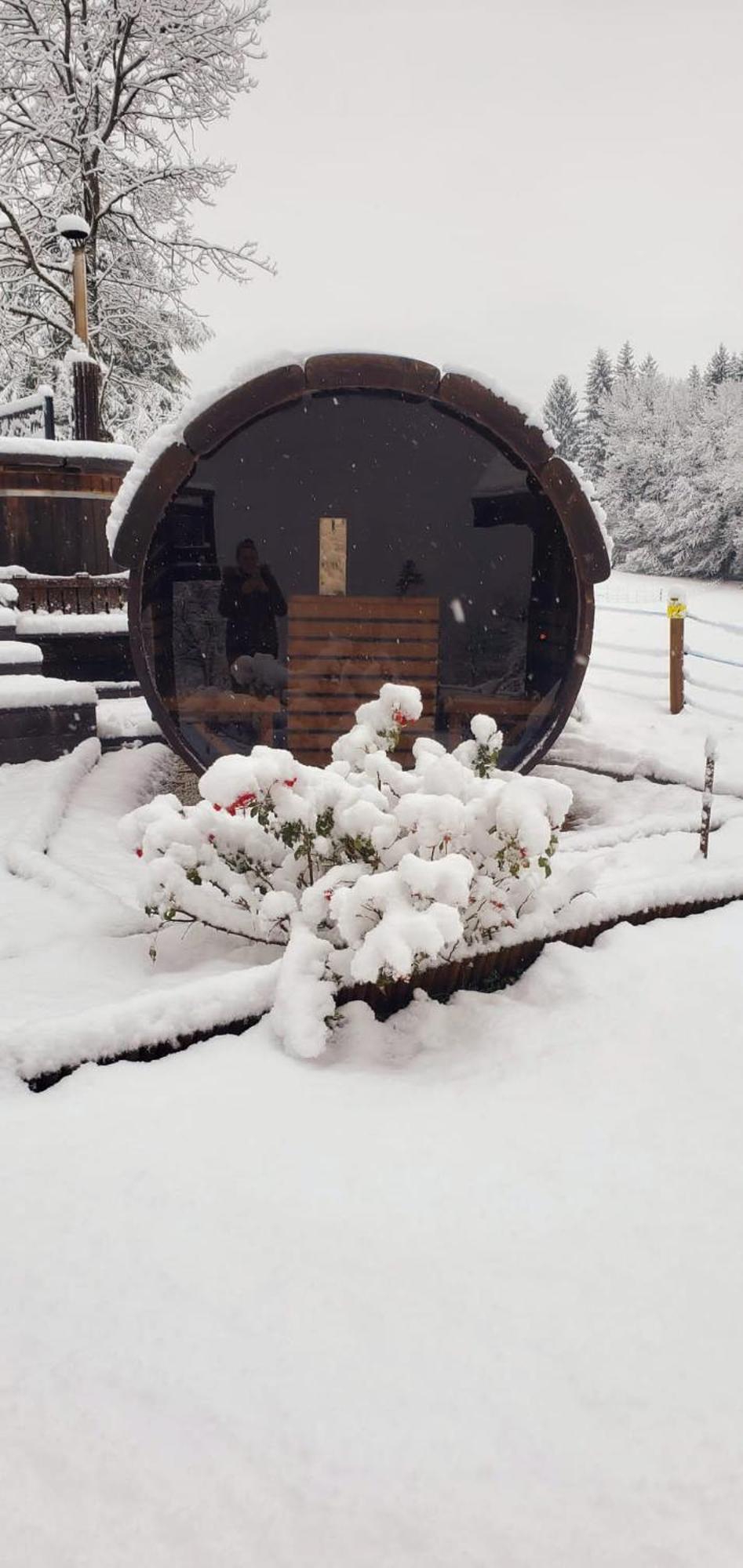 Les Chalets De Ludran Viuz-en-Sallaz Exterior foto
